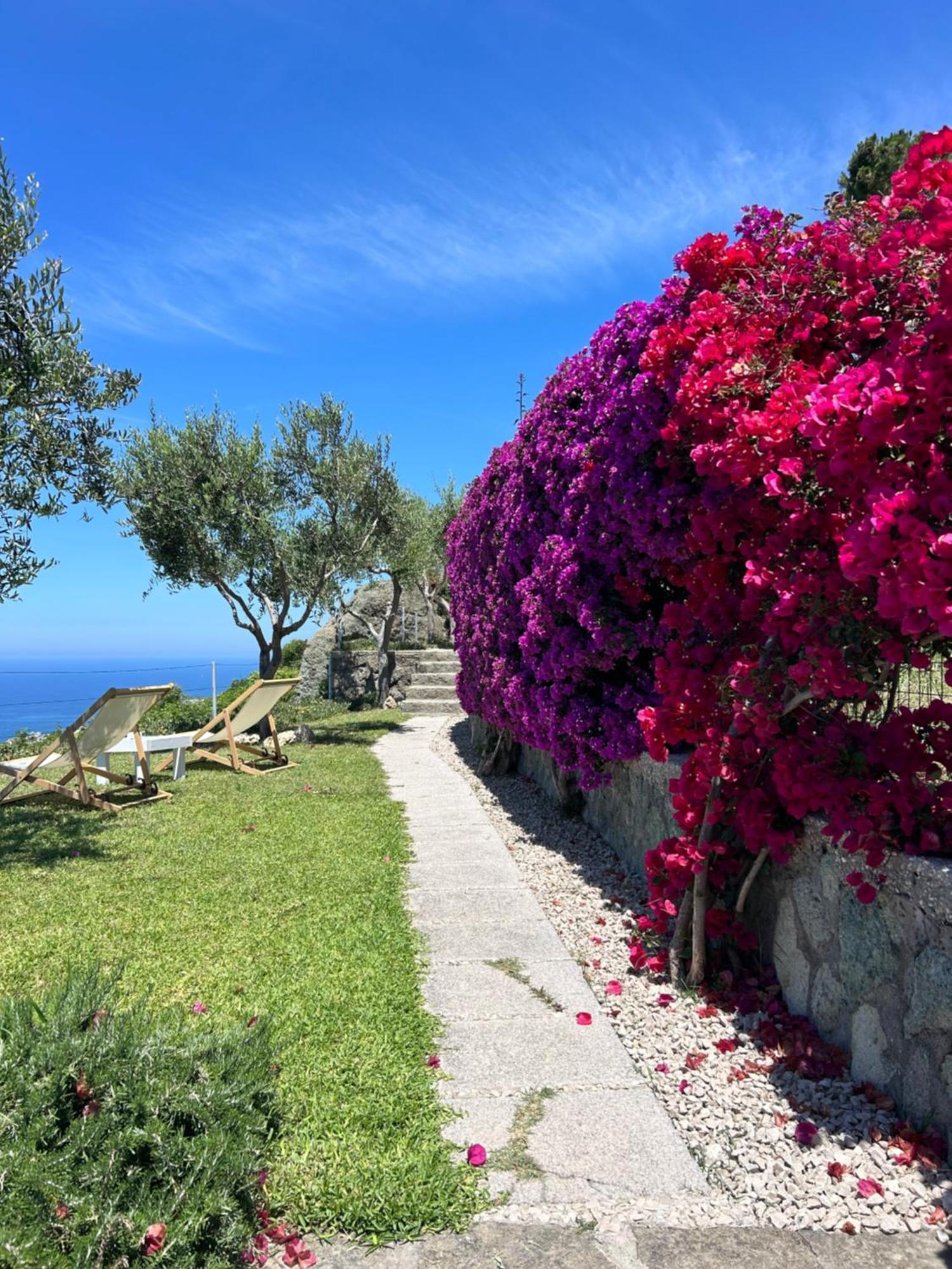 Villa Inarime Ischia Exterior photo
