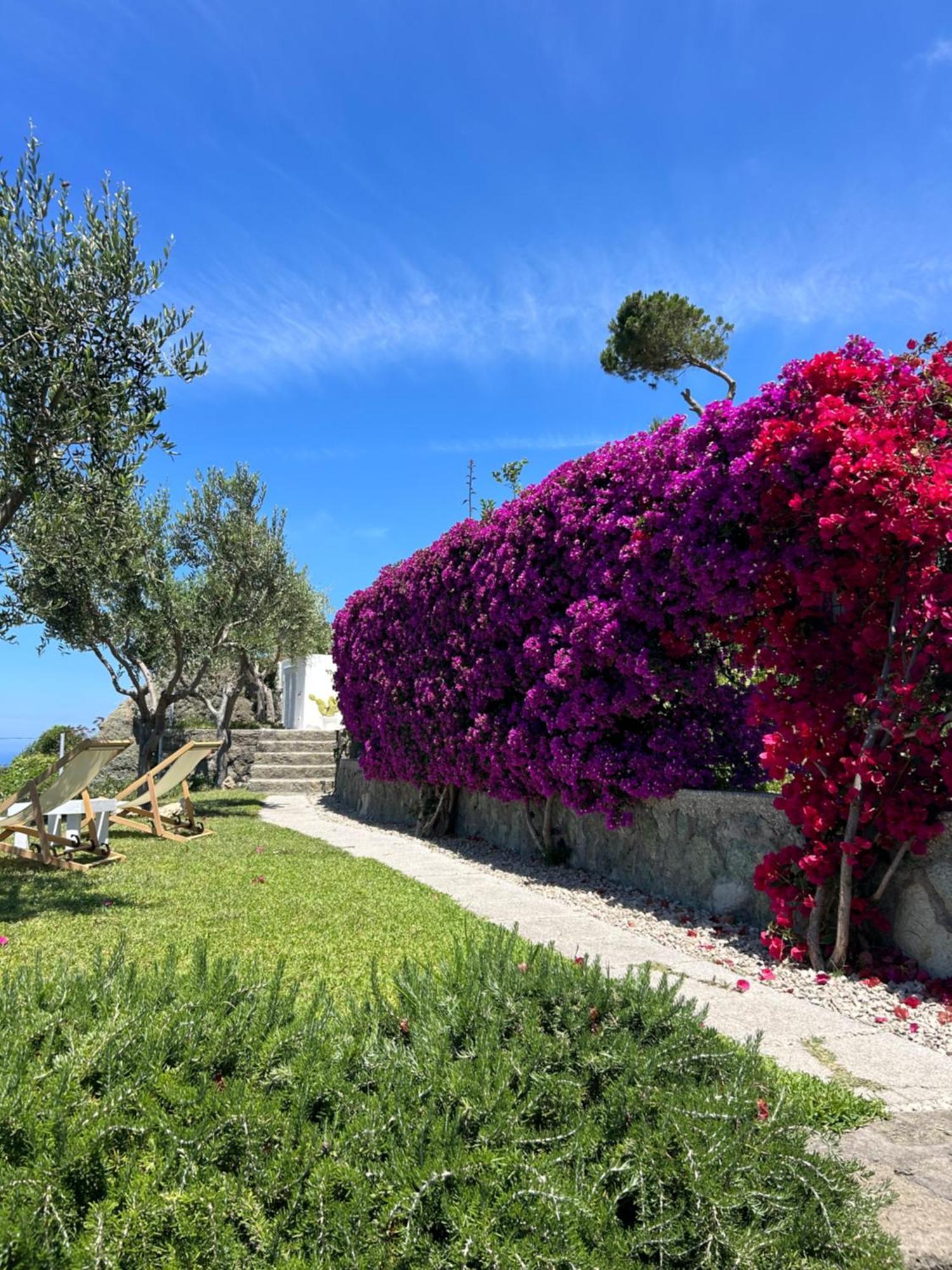Villa Inarime Ischia Exterior photo