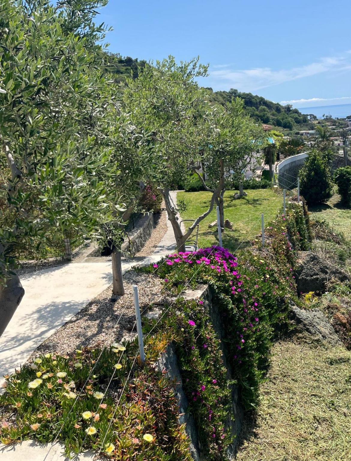 Villa Inarime Ischia Exterior photo